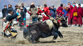 未标题-6.jpg