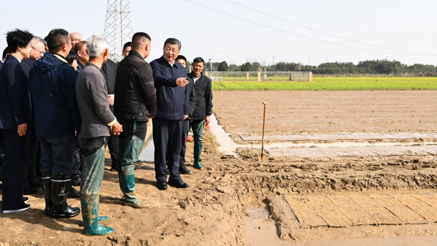 Xi Jinping Besichtigt Changde In Der Zentralchinesischen Provinz Hunan