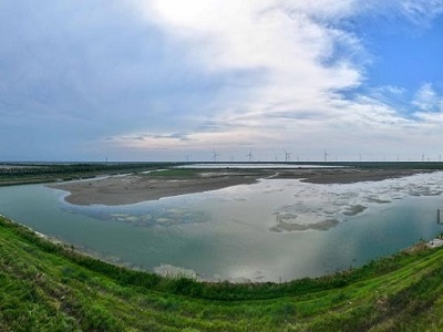 118044758_t1_64X0X516X254_efdb8b23-42f2-4ca6-a18e-26fabd393c47.jpg
