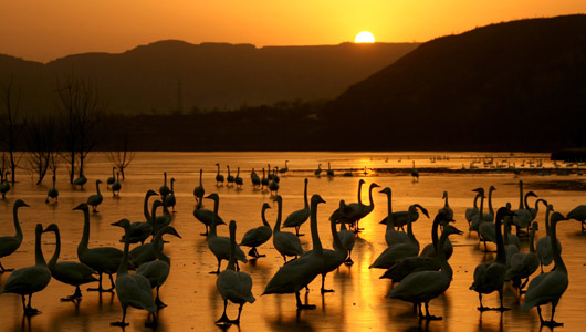 Gelber Fluss, Sonnenaufgang